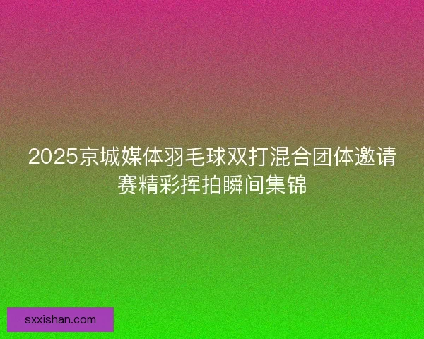 2025京城媒体羽毛球双打混合团体邀请赛精彩挥拍瞬间集锦