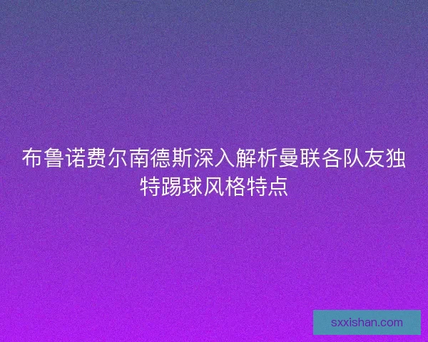 布鲁诺费尔南德斯深入解析曼联各队友独特踢球风格特点