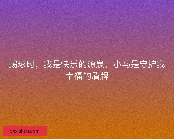 踢球时，我是快乐的源泉，小马是守护我幸福的盾牌