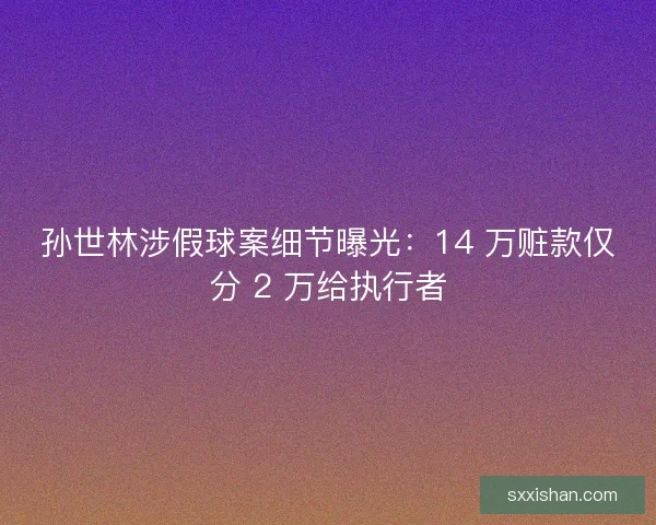 孙世林涉假球案细节曝光：14 万赃款仅分 2 万给执行者